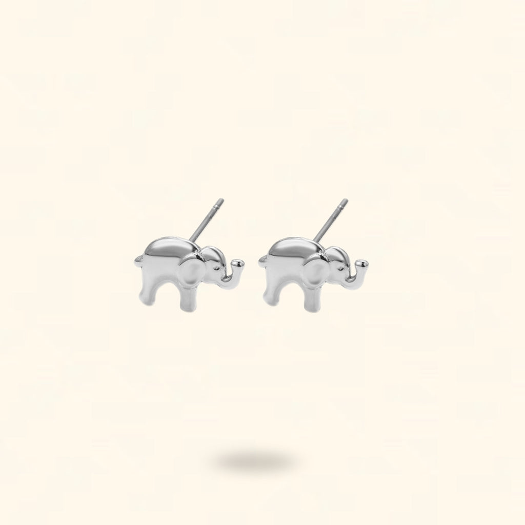 PENDIENTES ZAMBARA PLATEADO