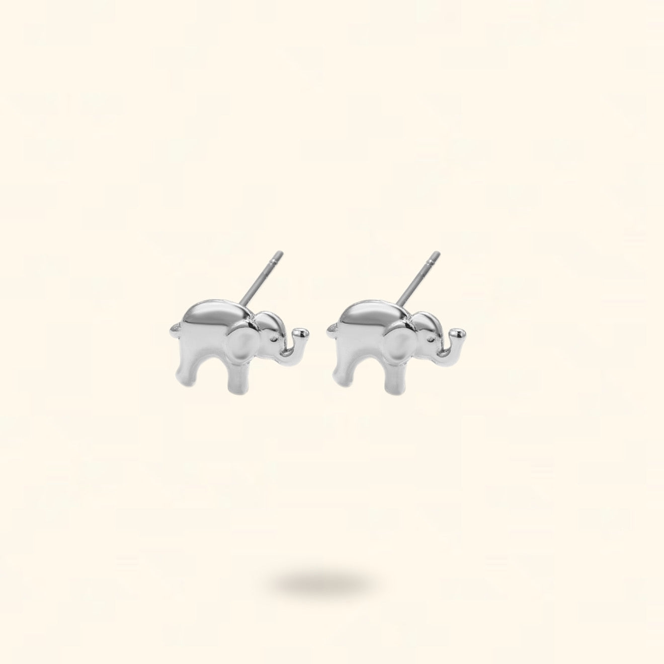 PENDIENTES ZAMBARA PLATEADO