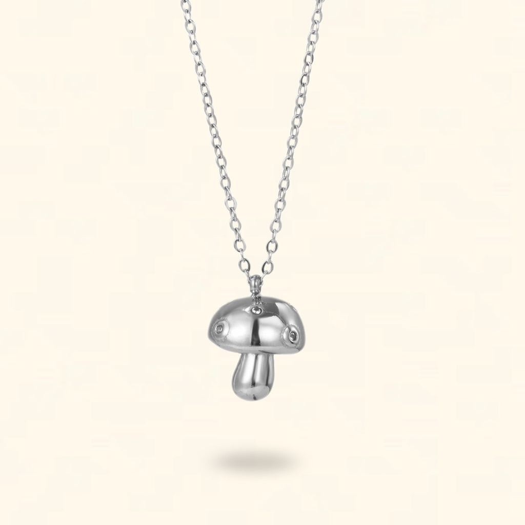COLLAR SETIA PLATEADO