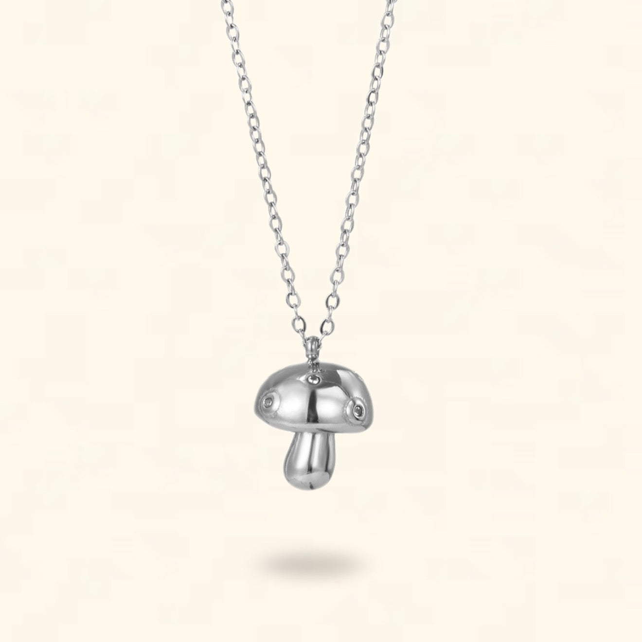 COLLAR SETIA PLATEADO