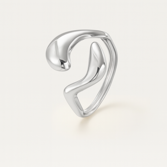 ANILLO DUPLEX PLATEADO